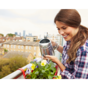 Gartentipps für den Februar